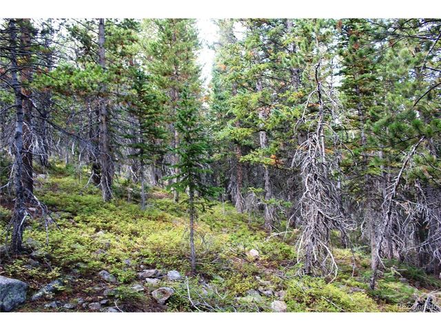 17577 Jackson, Black Hawk, CO 80422