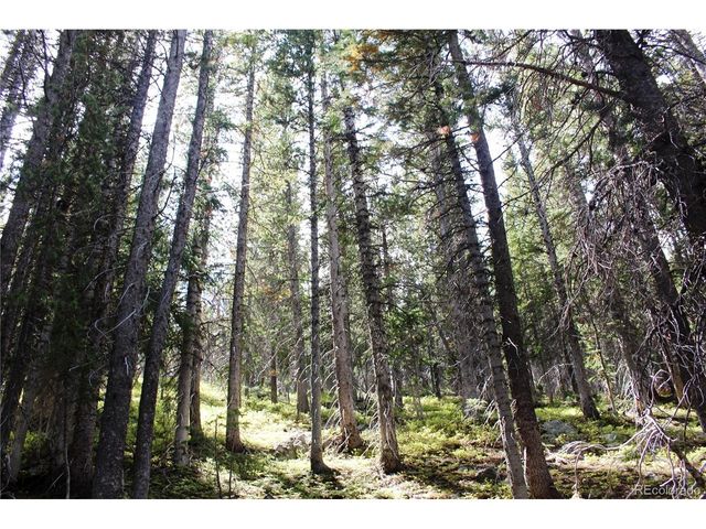 17577 Jackson, Black Hawk, CO 80422
