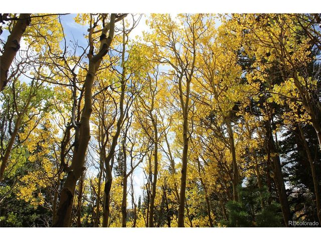 17577 Jackson, Black Hawk, CO 80422