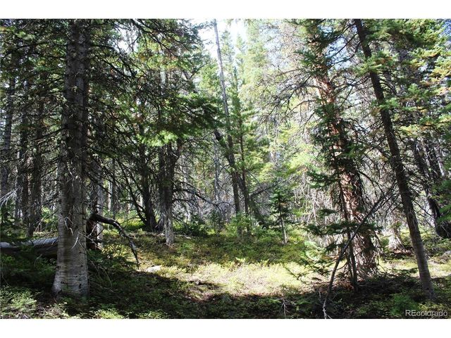 17577 Jackson, Black Hawk, CO 80422