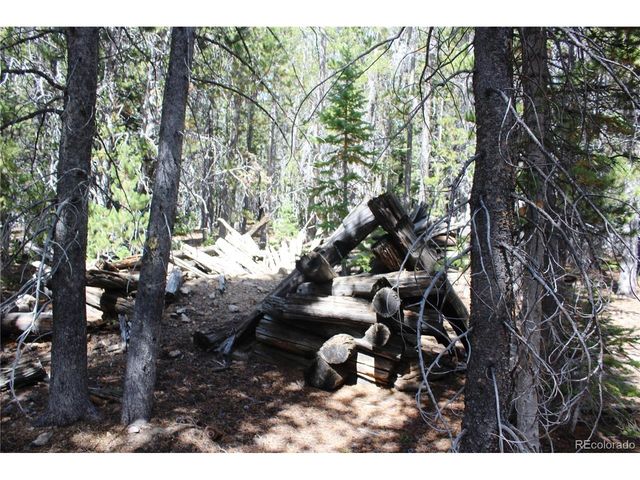 17577 Jackson, Black Hawk, CO 80422