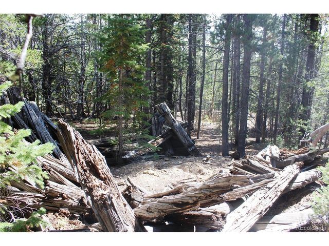 17577 Jackson, Black Hawk, CO 80422