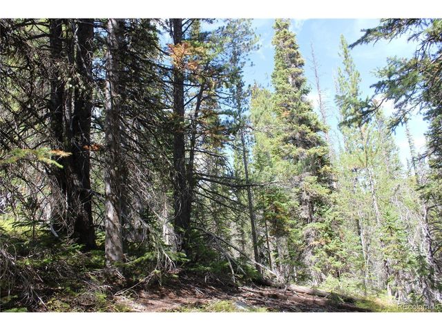 17577 Jackson, Black Hawk, CO 80422