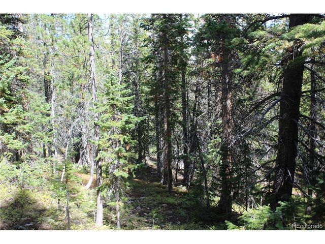 17577 Jackson, Black Hawk, CO 80422