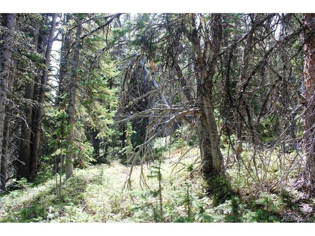 17577 Jackson, Black Hawk, CO 80422