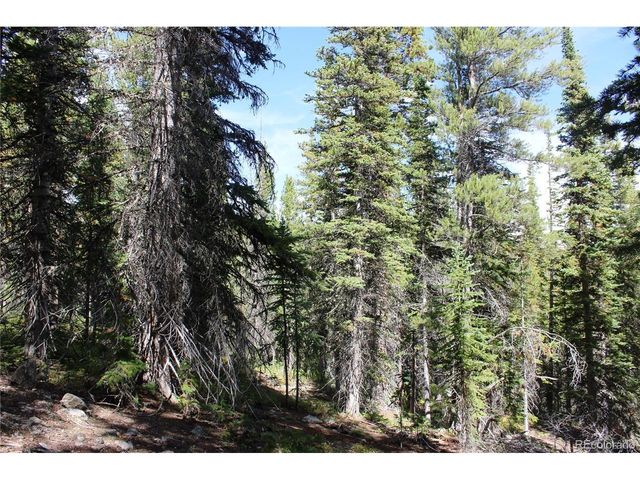 17577 Jackson, Black Hawk, CO 80422