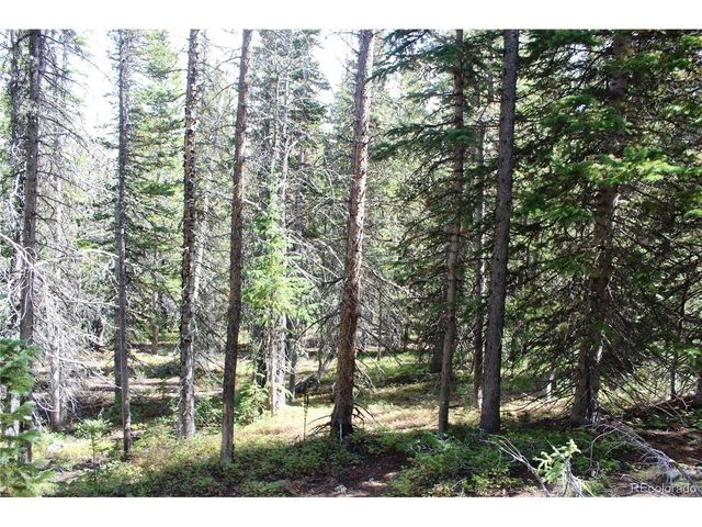 17577 Jackson, Black Hawk, CO 80422