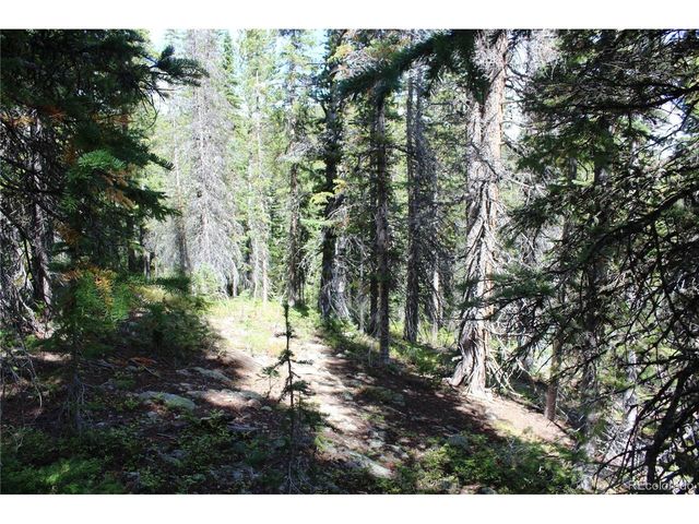 17577 Jackson, Black Hawk, CO 80422
