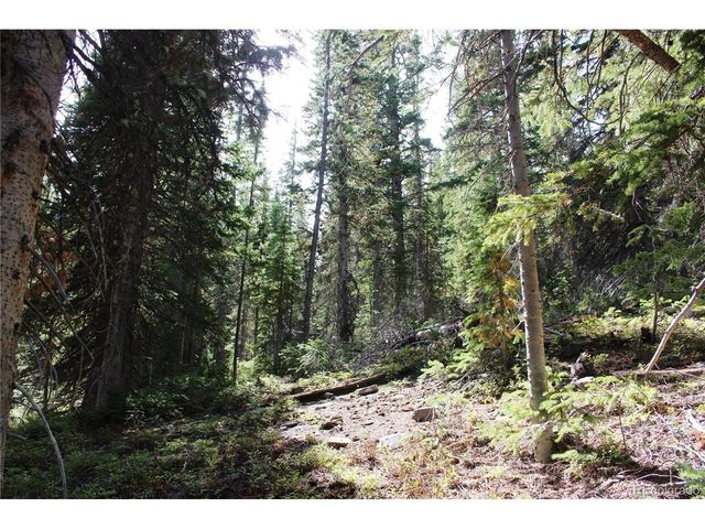 17577 Jackson, Black Hawk, CO 80422