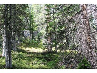 17577 Jackson, Black Hawk, CO 80422