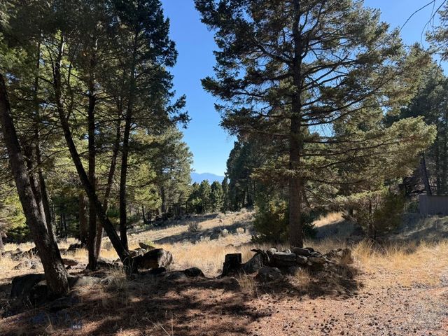 91 Upper Radar Creek Road, Whitehall, MT 59759