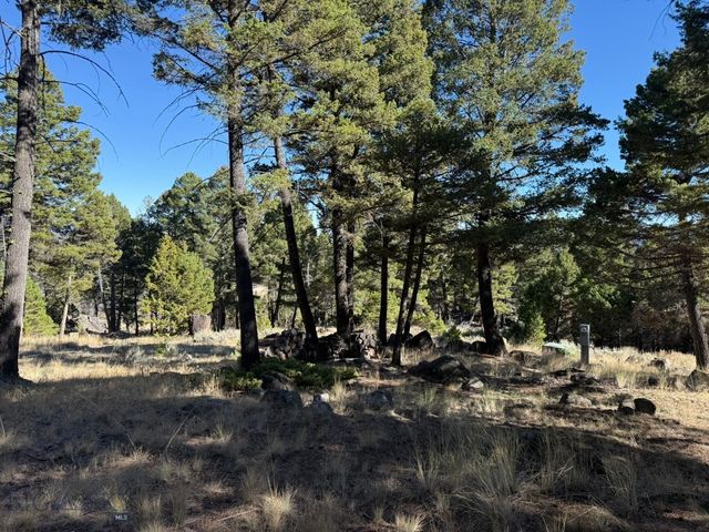 91 Upper Radar Creek Road, Whitehall, MT 59759