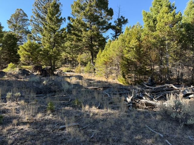 91 Upper Radar Creek Road, Whitehall, MT 59759