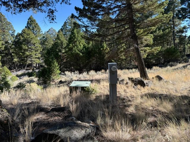 91 Upper Radar Creek Road, Whitehall, MT 59759