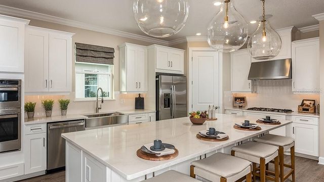 1003 TASSLEFLOWER TRAIL, St Cloud, FL 34771