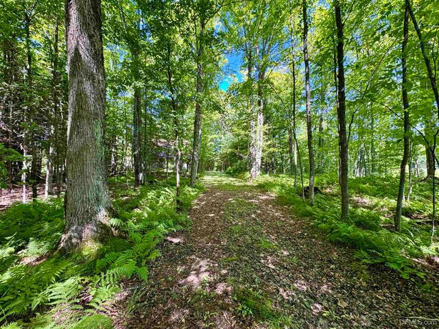 110 Old Us 141 Highway, Crystal Falls, MI 49920