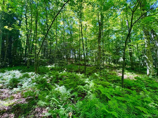 110 Old Us 141 Highway, Crystal Falls, MI 49920