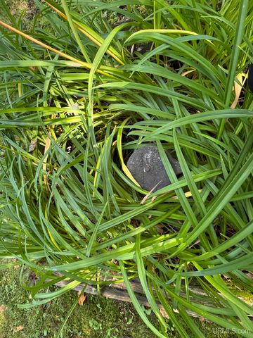 110 Old Us 141 Highway, Crystal Falls, MI 49920