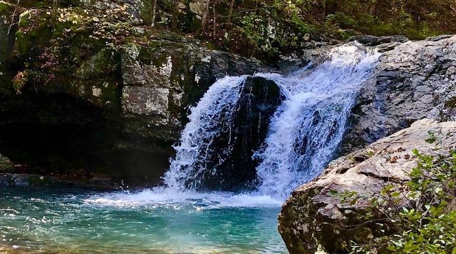 Lot 14 Blk 4 LINGFIELD Lane, Bella Vista, AR 72714