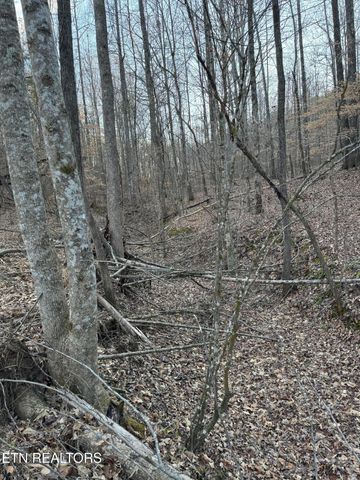 184 Harris Branch Rd, Madisonville, TN 37354