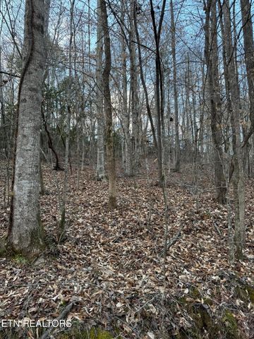 184 Harris Branch Rd, Madisonville, TN 37354