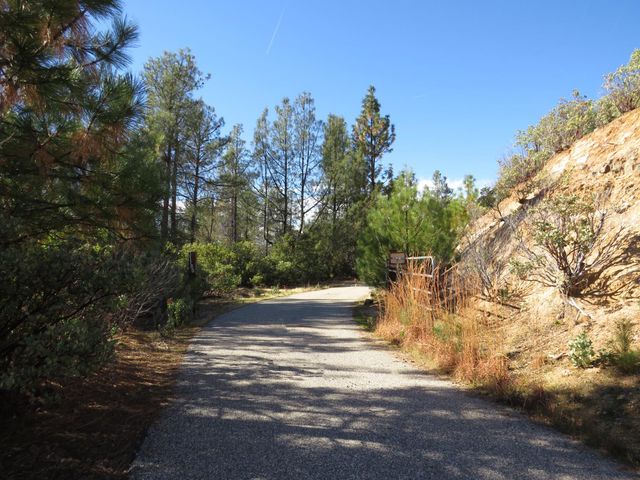 31180 Knob Cone Rd, Gold Run, CA 95717