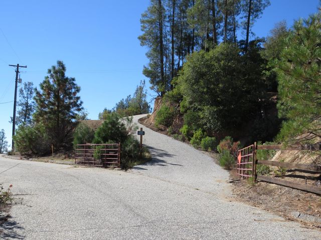31180 Knob Cone Rd, Gold Run, CA 95717