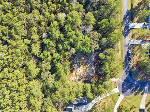 17539 Julianne Drive, Waller, TX 77484