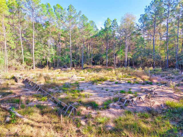 17539 Julianne Drive, Waller, TX 77484