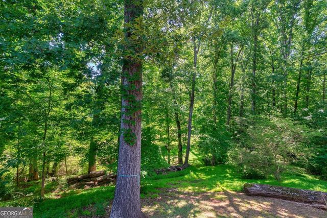115 Curtis Drive, Athens, GA 30605