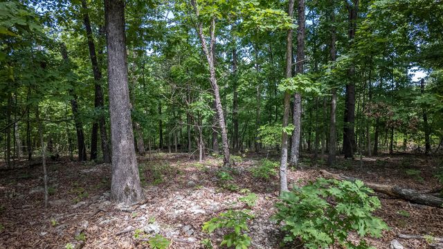 889 County Road 101, Alton, MO 65606