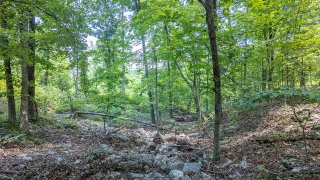 889 County Road 101, Alton, MO 65606