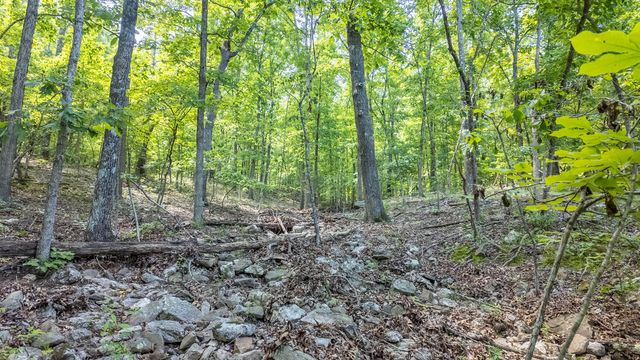 889 County Road 101, Alton, MO 65606