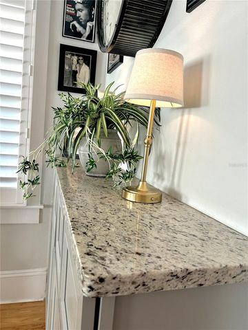 105 W GOLF LINKS AVENUE, Eustis, FL 32726