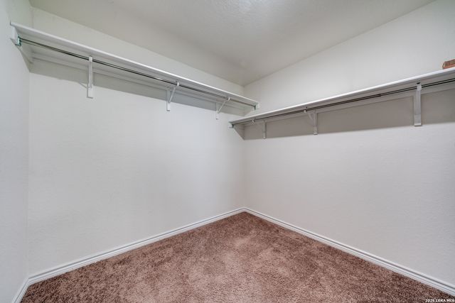 13246 Lorena Ochoa, San Antonio, TX 78221