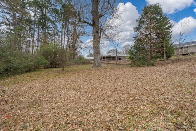 4232 Cardinal, Northport, AL 35473