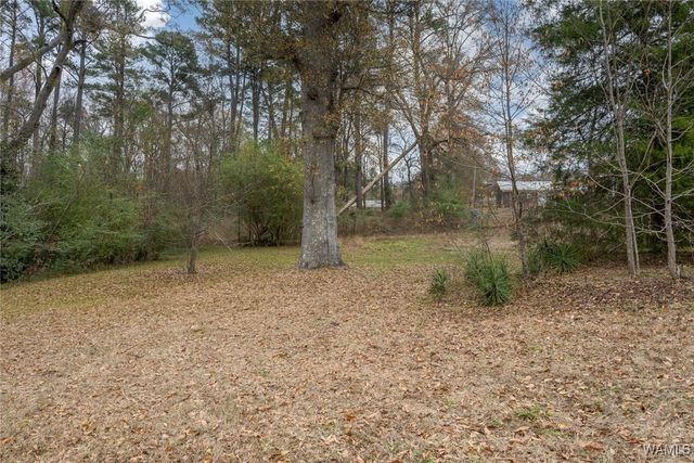 4232 Cardinal, Northport, AL 35473