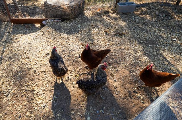 10131 Potlicker Road, Grass Valley, CA 95949