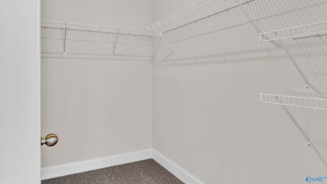 28105 Saddle Springs Drive NW, Madison, AL 35756