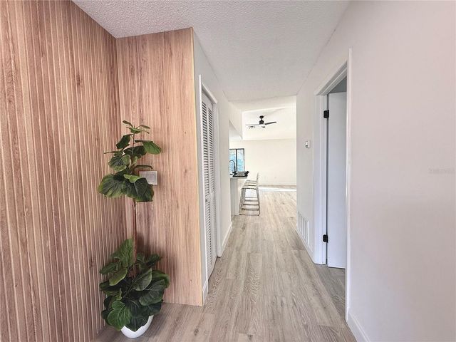 2469 ANCHOR AVENUE, Spring Hill, FL 34608