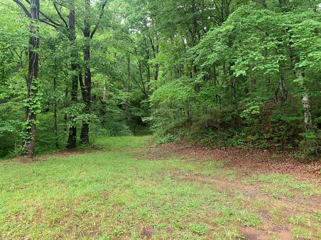 805 Bethabara Road, Hayesville, NC 28904