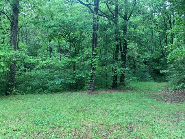 805 Bethabara Road, Hayesville, NC 28904