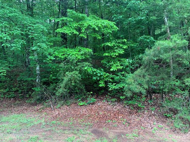 805 Bethabara Road, Hayesville, NC 28904