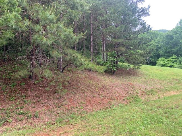 805 Bethabara Road, Hayesville, NC 28904