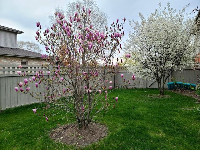 18753 Rosewood Lane, Mokena, IL 60448