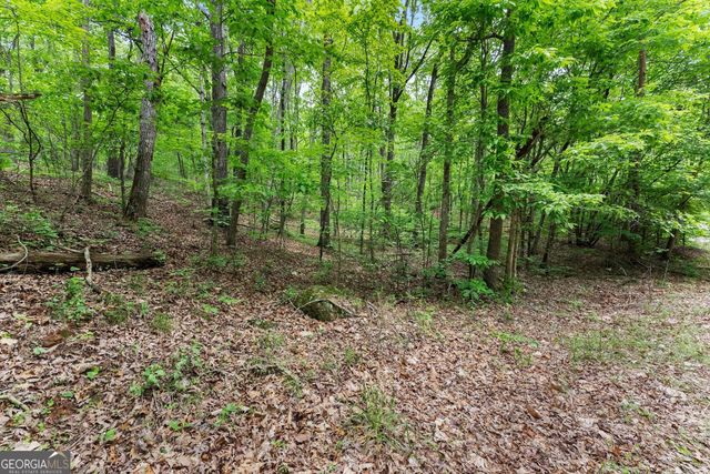 0 Long Mountain Road, Cleveland, GA 30528