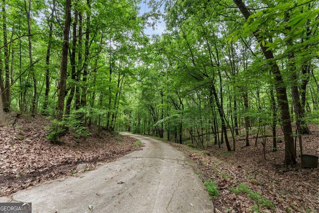 0 Long Mountain Road, Cleveland, GA 30528
