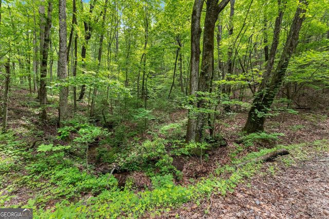 0 Long Mountain Road, Cleveland, GA 30528