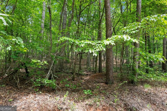 0 Long Mountain Road, Cleveland, GA 30528