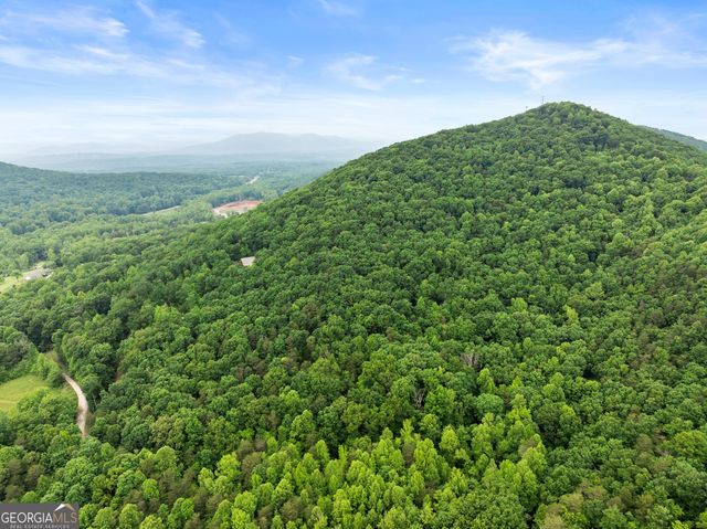 0 Long Mountain Road, Cleveland, GA 30528